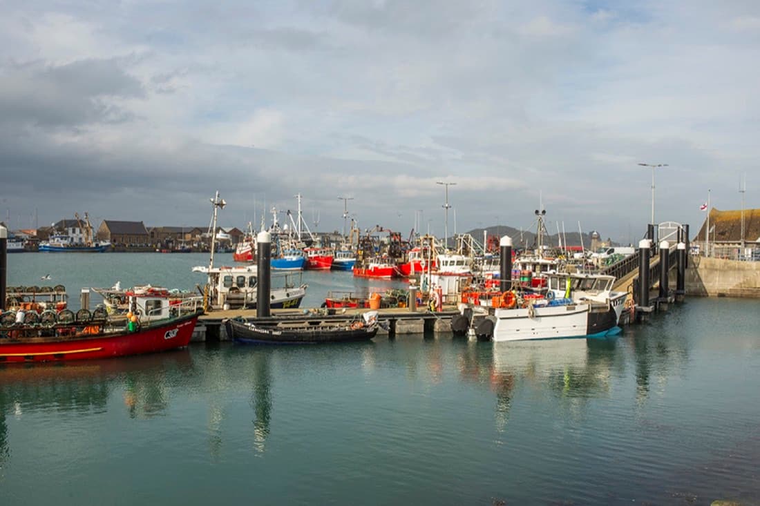 Що подивитися в селище Howth (Гоут) в Ірландії